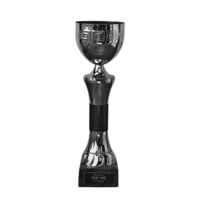 Award-7